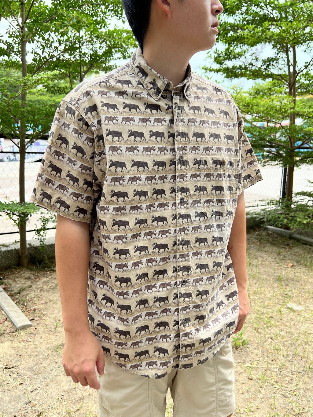 15牛 (1)