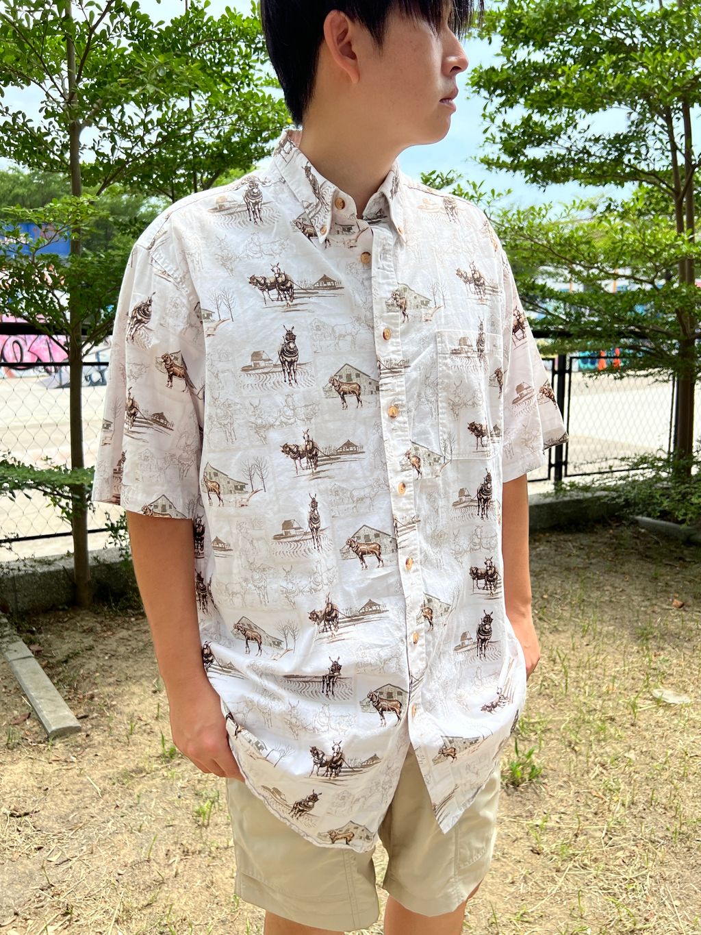 17馬 (1)