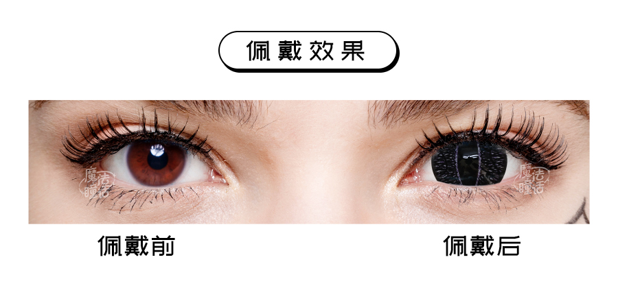 black-lizard-mini-sclera-desc-1