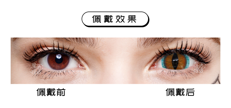 brown-lizard-mini-sclera-desc-1