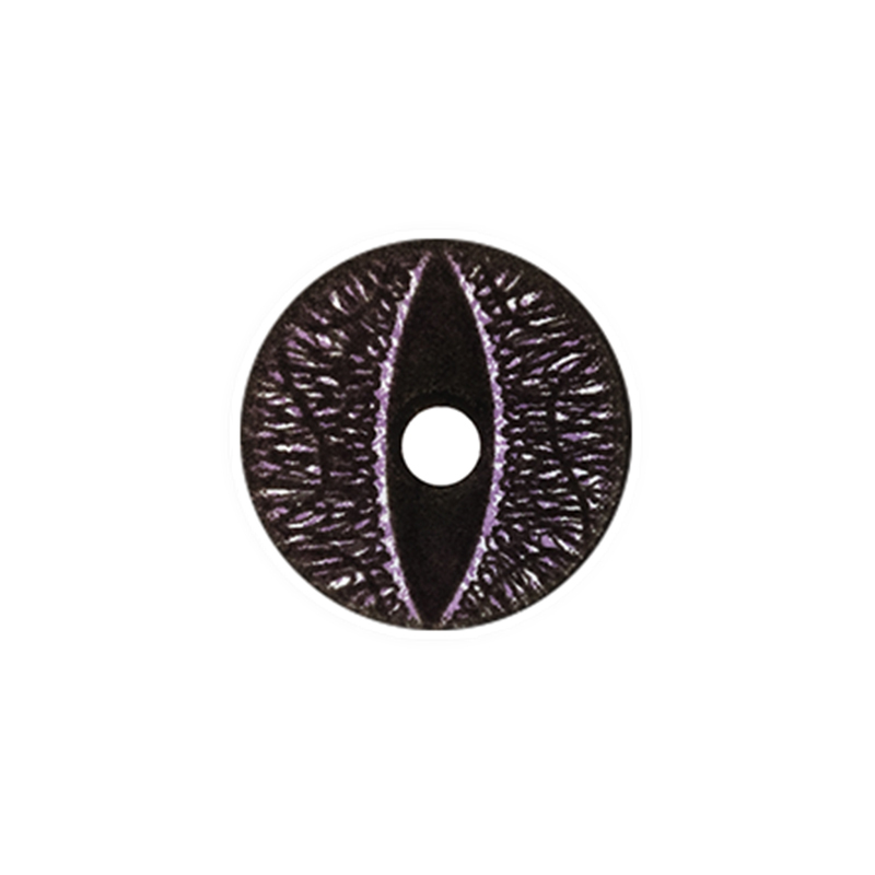 black-lizard-mini-sclera-thumb-2