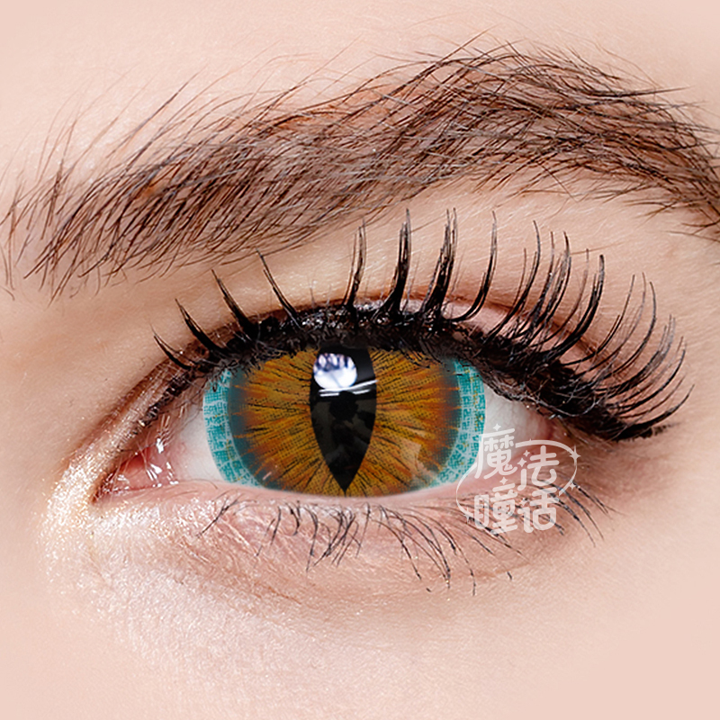 brown-lizard-mini-sclera-thumb-3