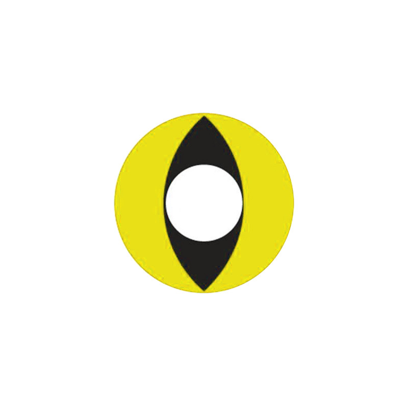 cat-eye-yellow-thumb-2