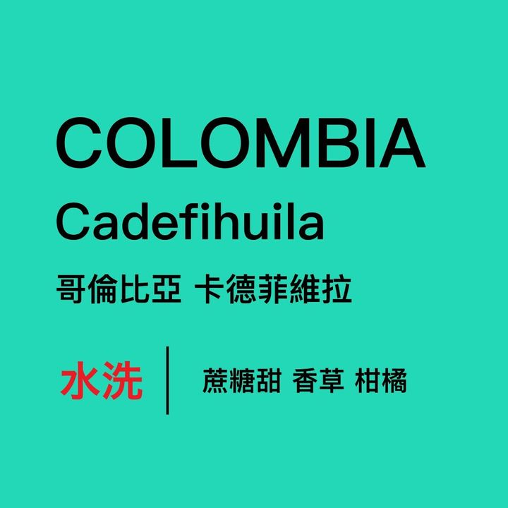 哥倫比亞 卡德菲維拉