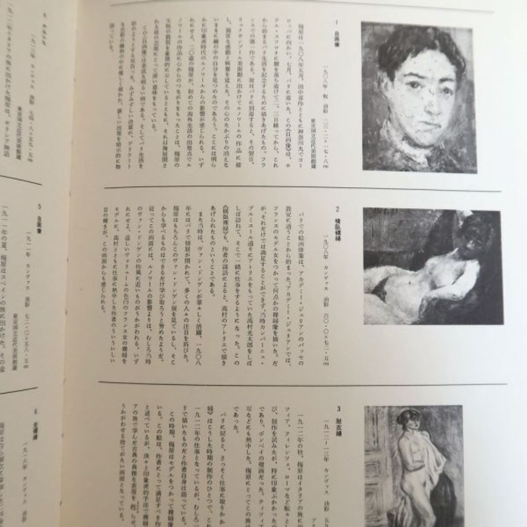【舊書】小川 正隆《現代日本美術全集：梅原龍三郎集》