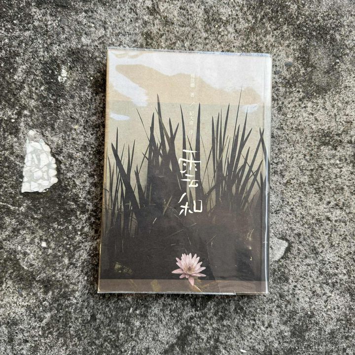 31