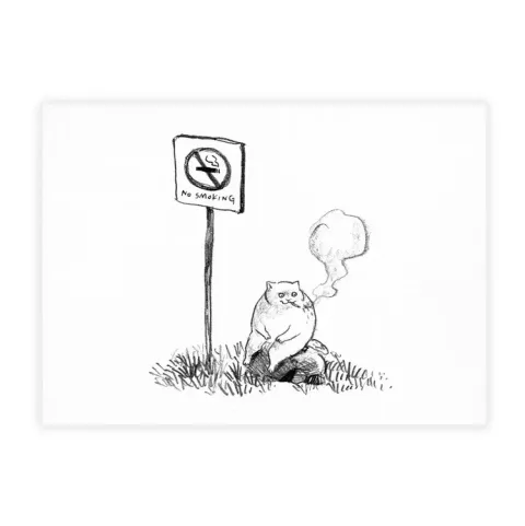 No+Smoking+area