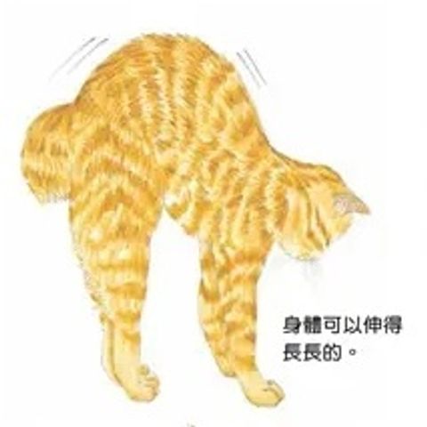 017-1