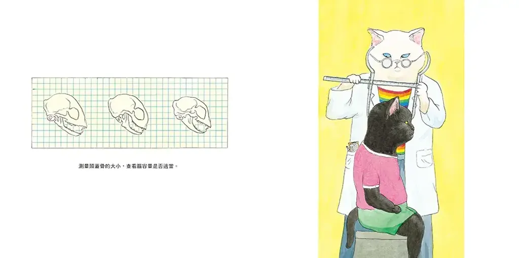 048-5