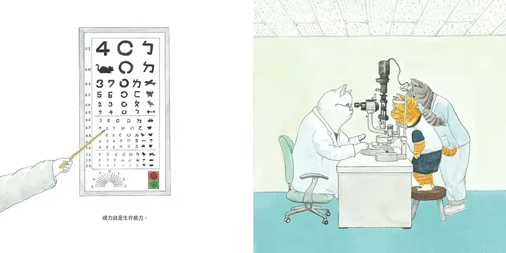 048-4