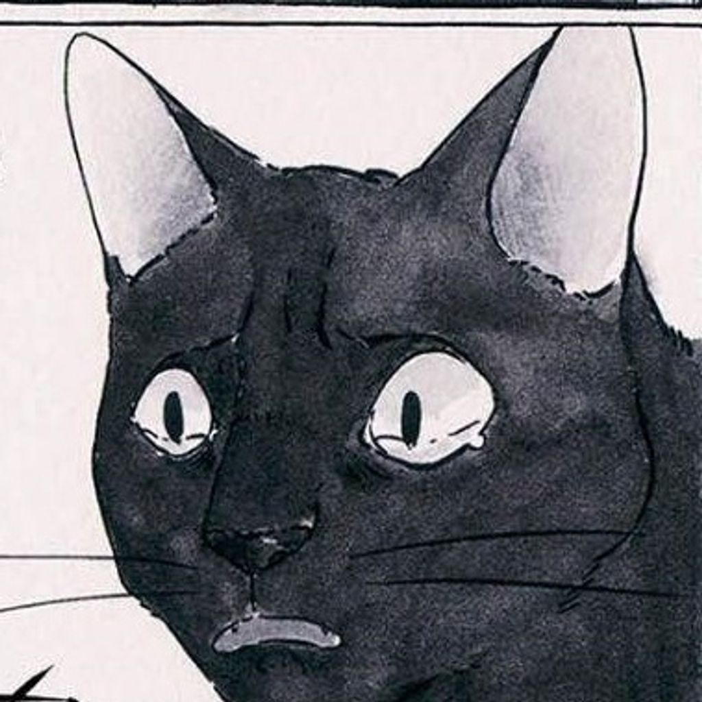 067-11