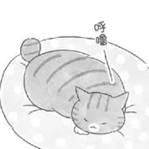 1003-31