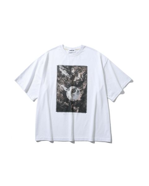 5316d2ae86b79de7c564310793f19dc1