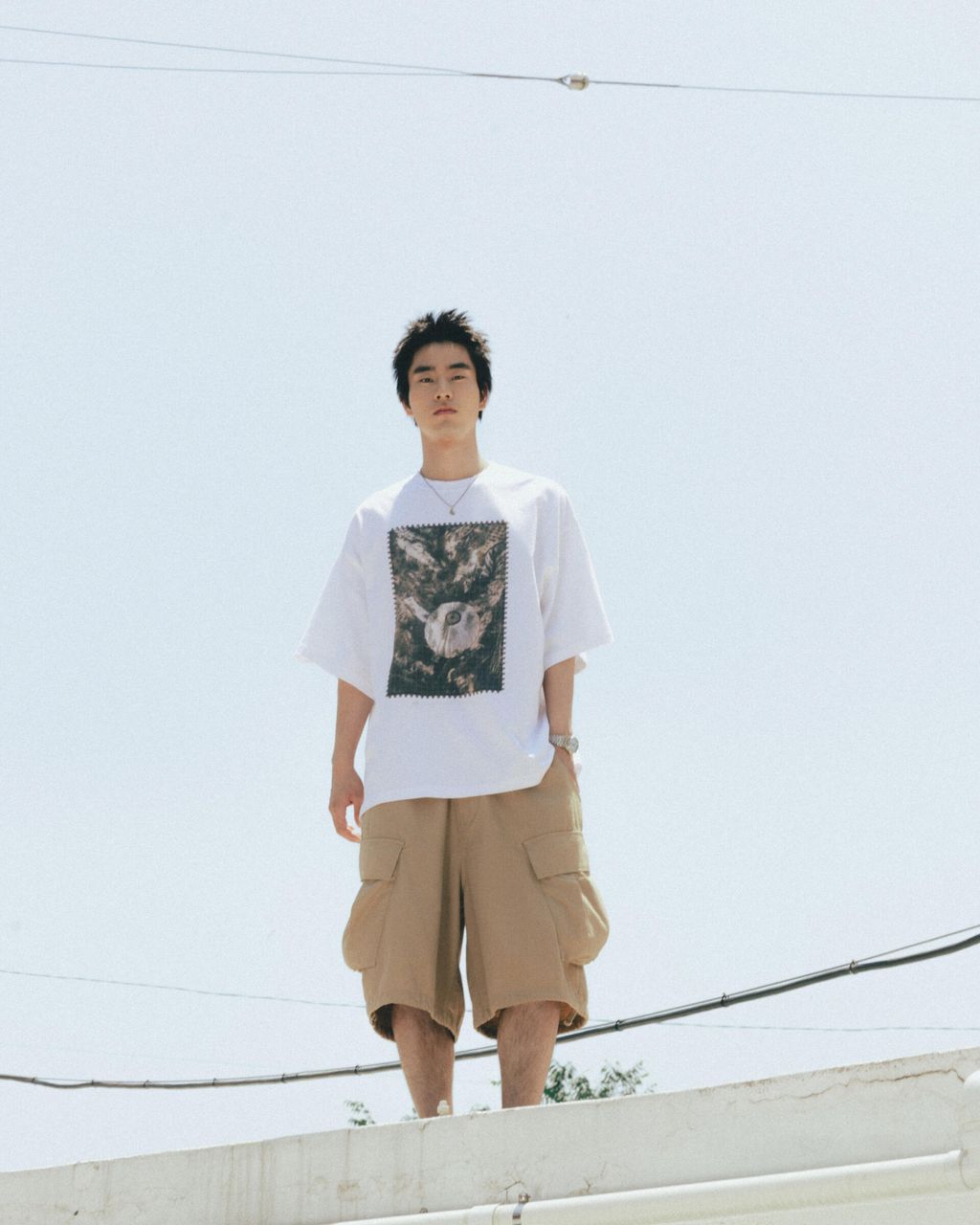 1529255c8e7e61ad3d925979a2c732ad