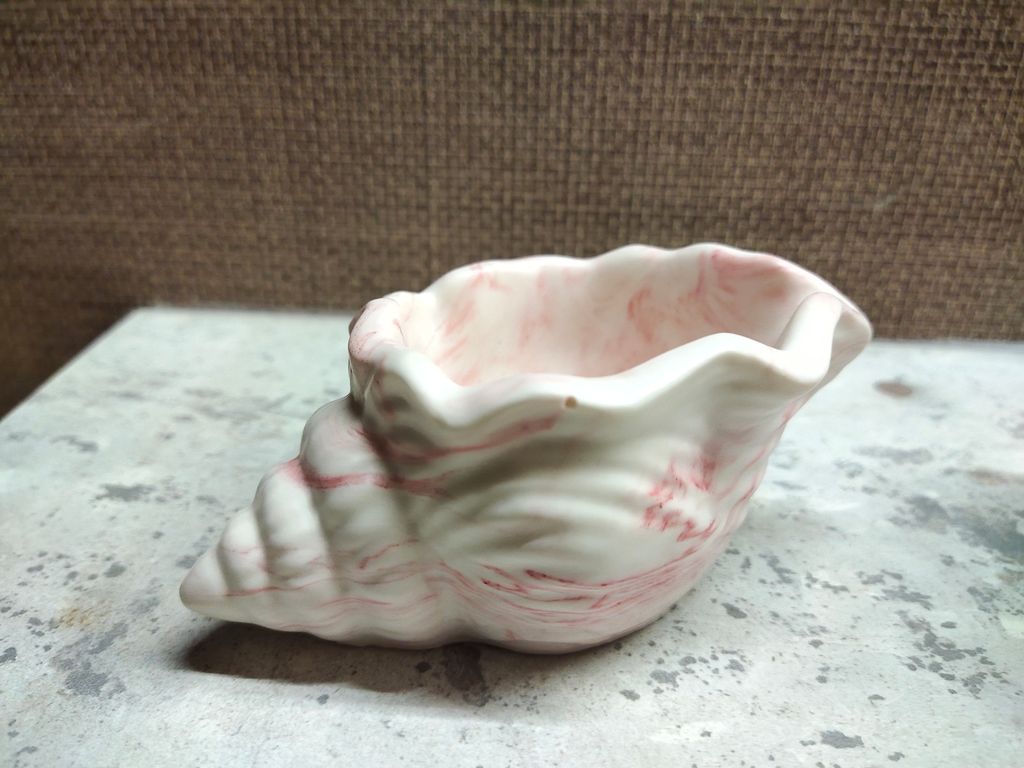 IMG_20221127_190813[1]