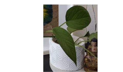 Professional Business Card (29)