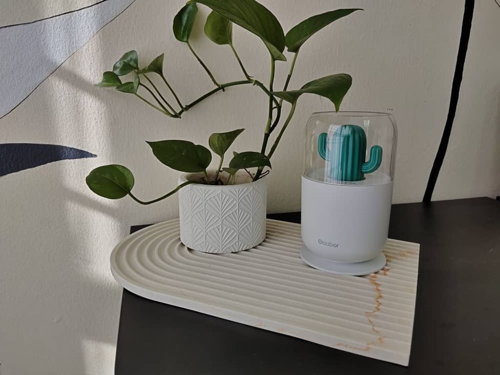 WhatsApp Image 2023-05-09 at 16.49.45