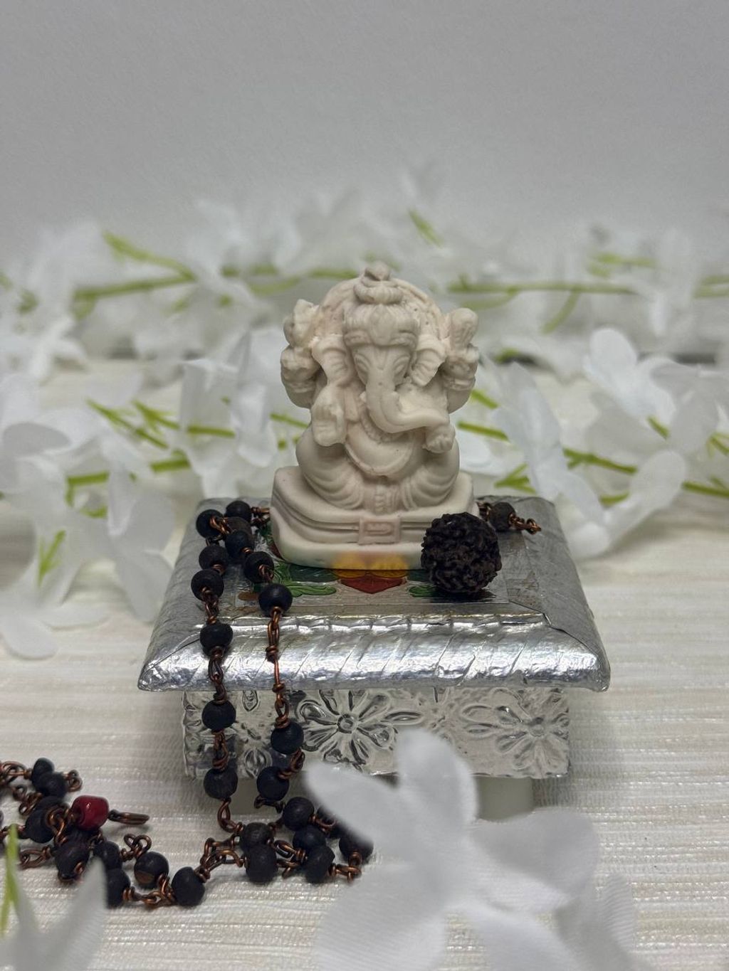 IMG_20240124_194639_254