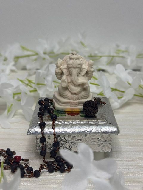 IMG_20240124_194639_254