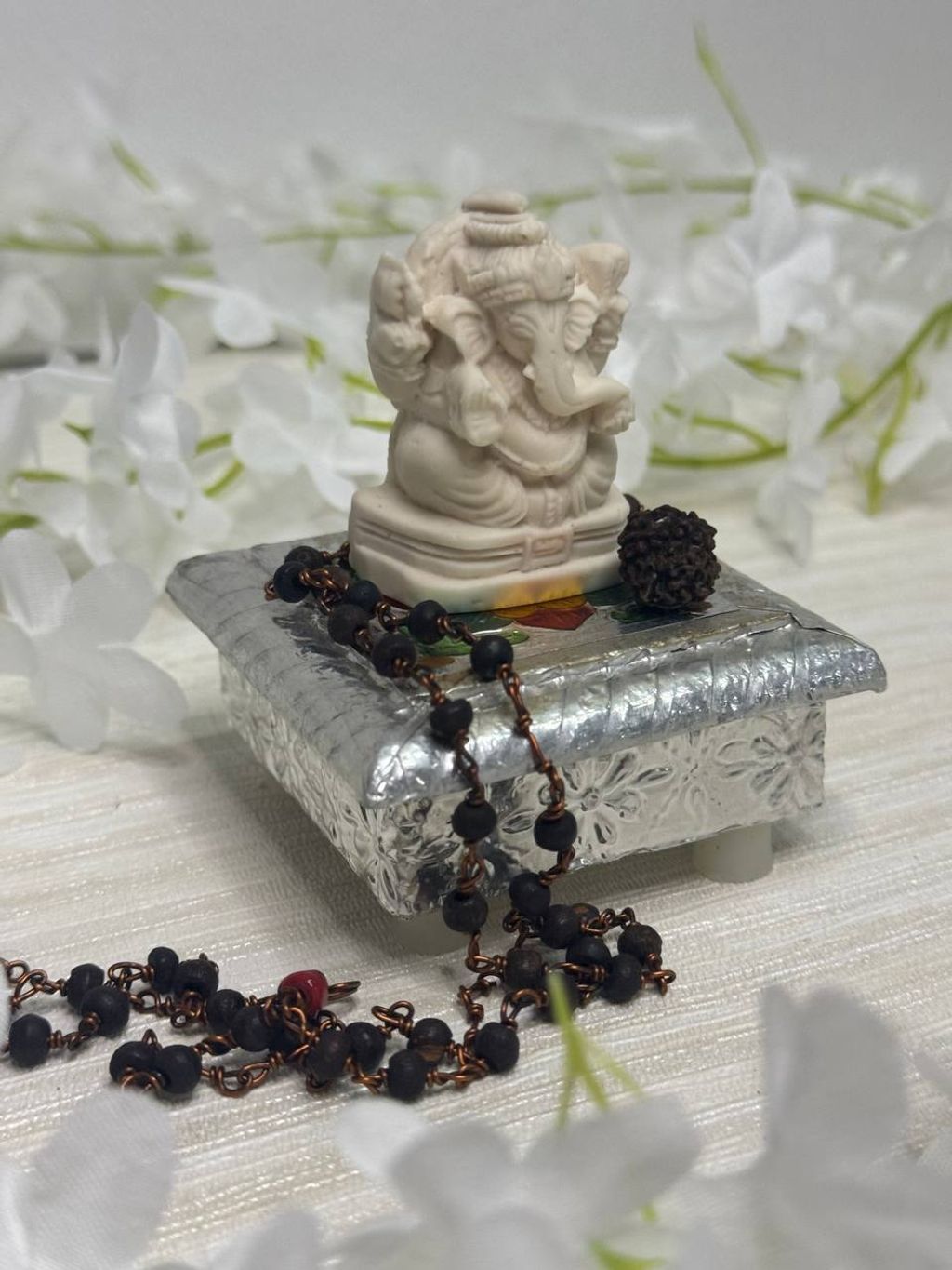 IMG_20240124_194638_849