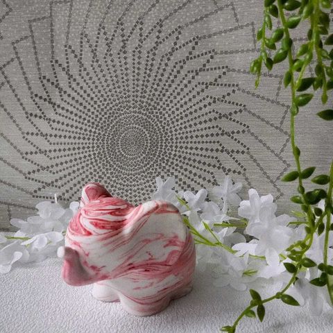 WhatsApp Image 2025-06-20 at 12.48.42 (1)