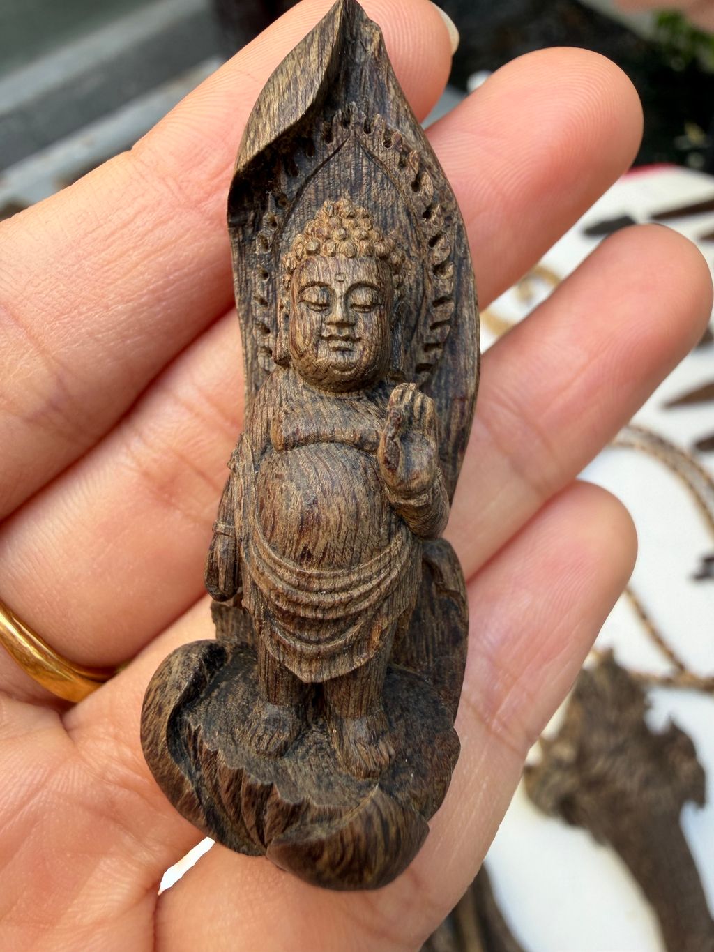 image_887F0E2E-5982-4EE6-9699-B2DDC1B59416_1767164612