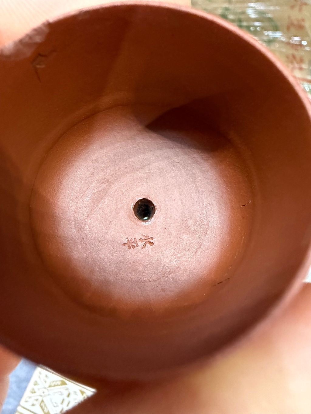 image_56127F96-2181-4611-9BFF-B756B222182B_1767165026