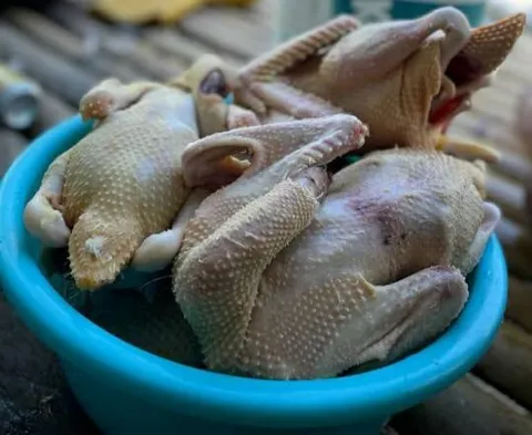 itikpotong