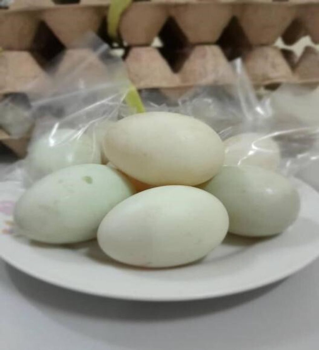 saltedegg