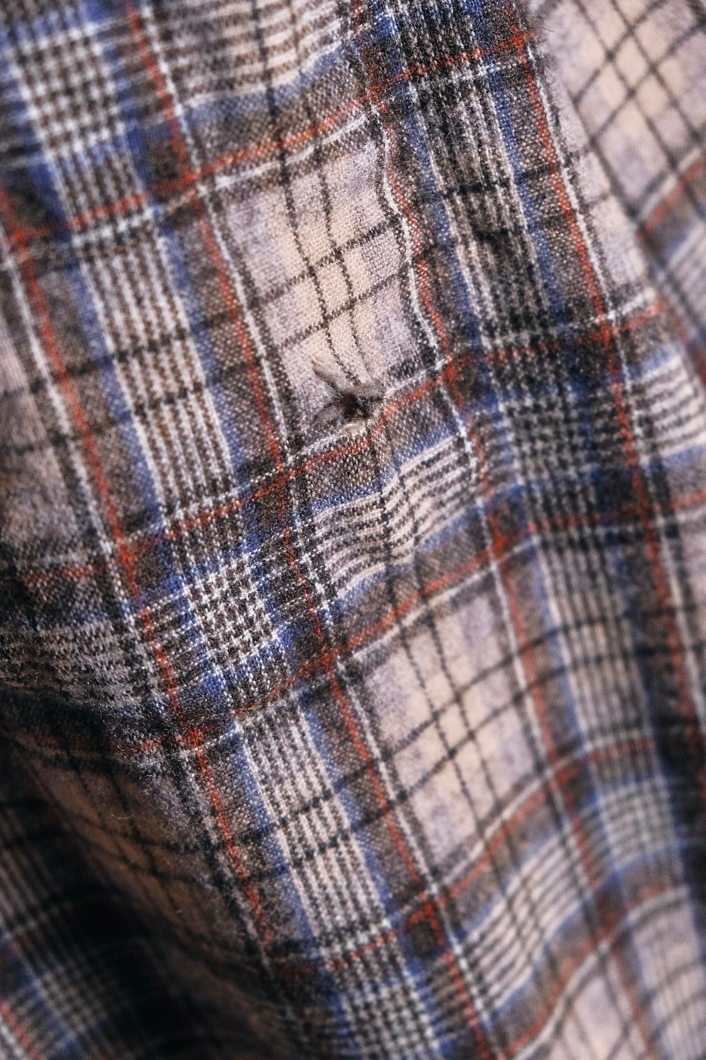 0FBCCC62-3A86-4BC6-93F4-891993AB0D4E