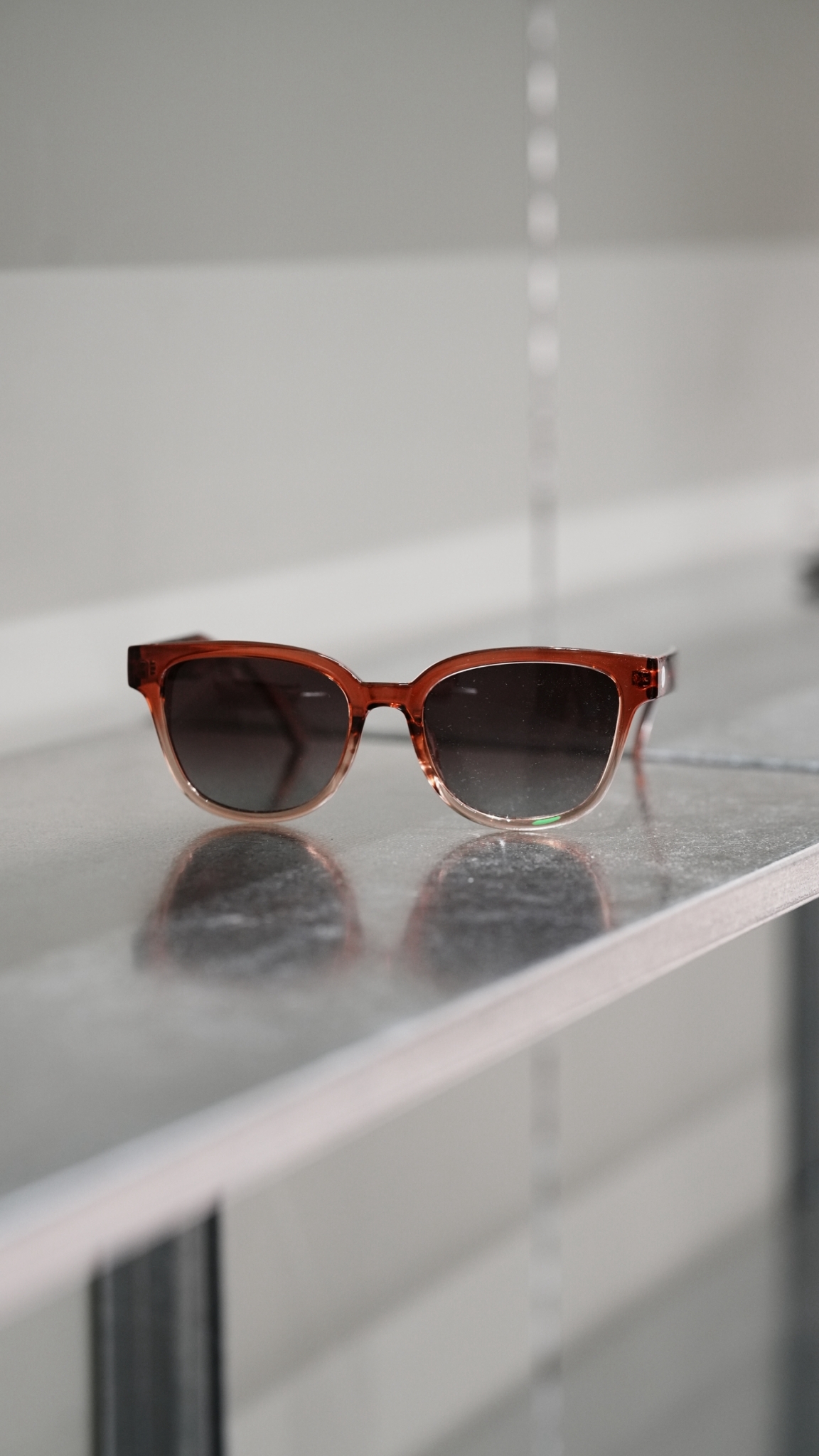 LINE_ALBUM_2026.7.30 _1_260809_1