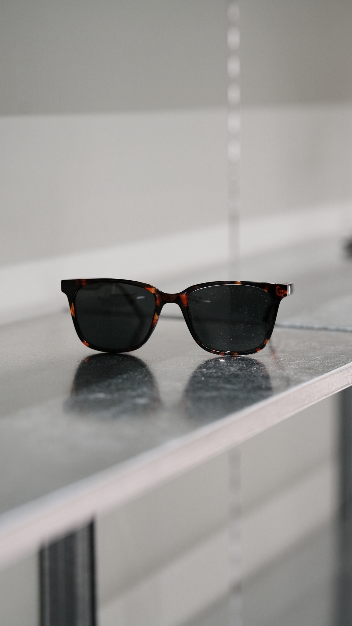 LINE_ALBUM_2026.7.30 _1_260809_1