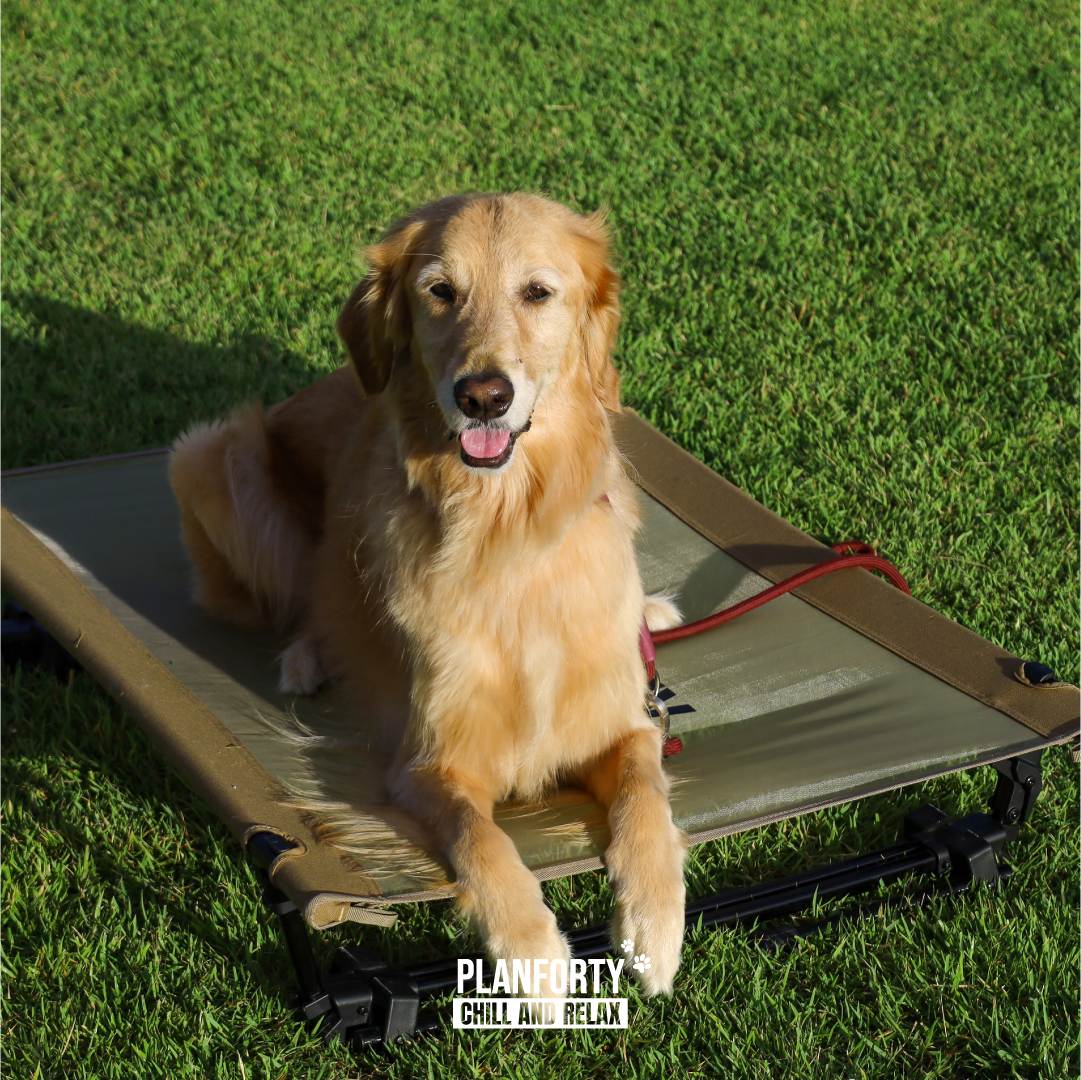 D-COT 썸네일4(외부)