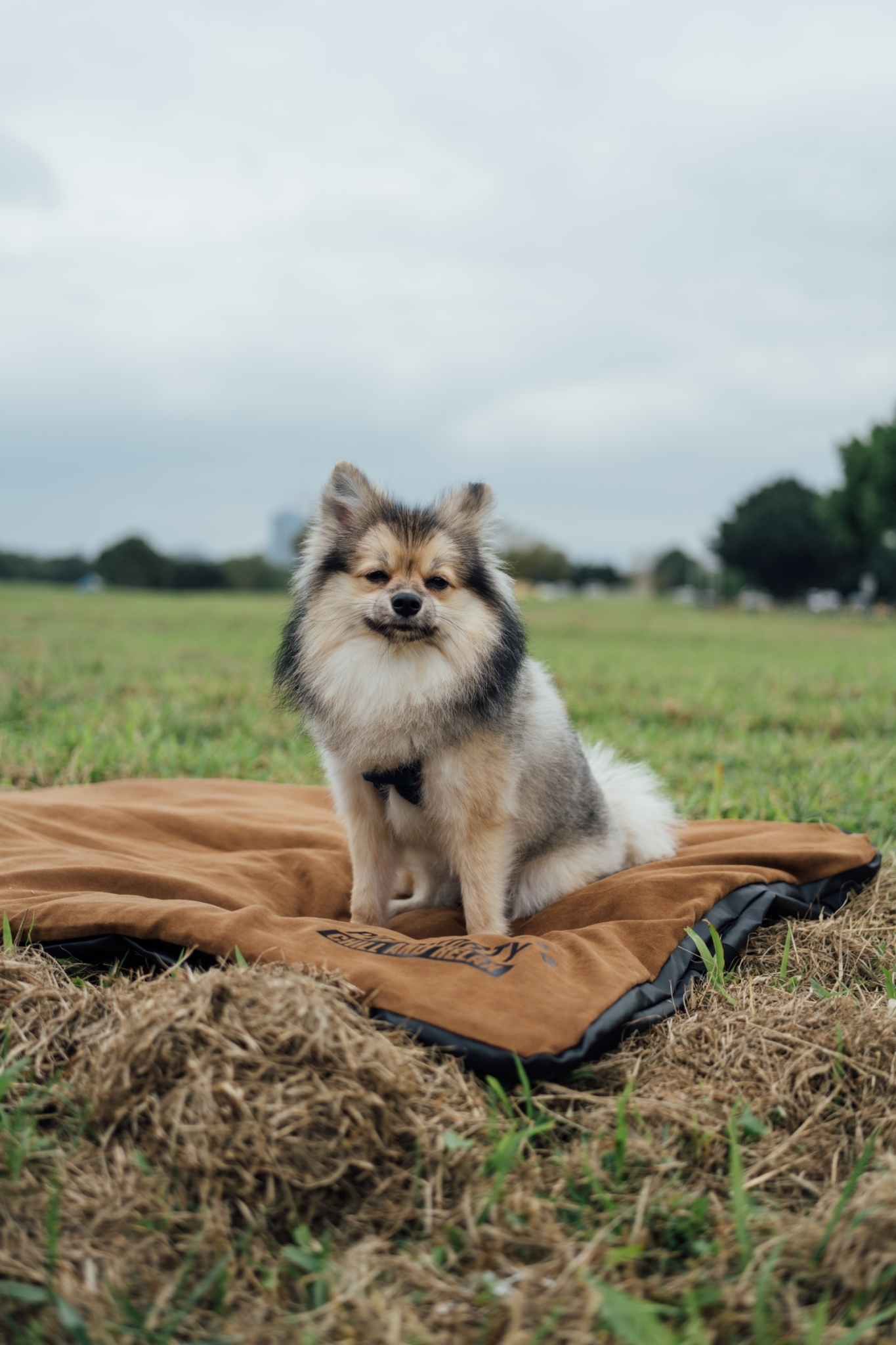 7AAC6B5C-BAEC-4E69-AE5C-B12265FB262C