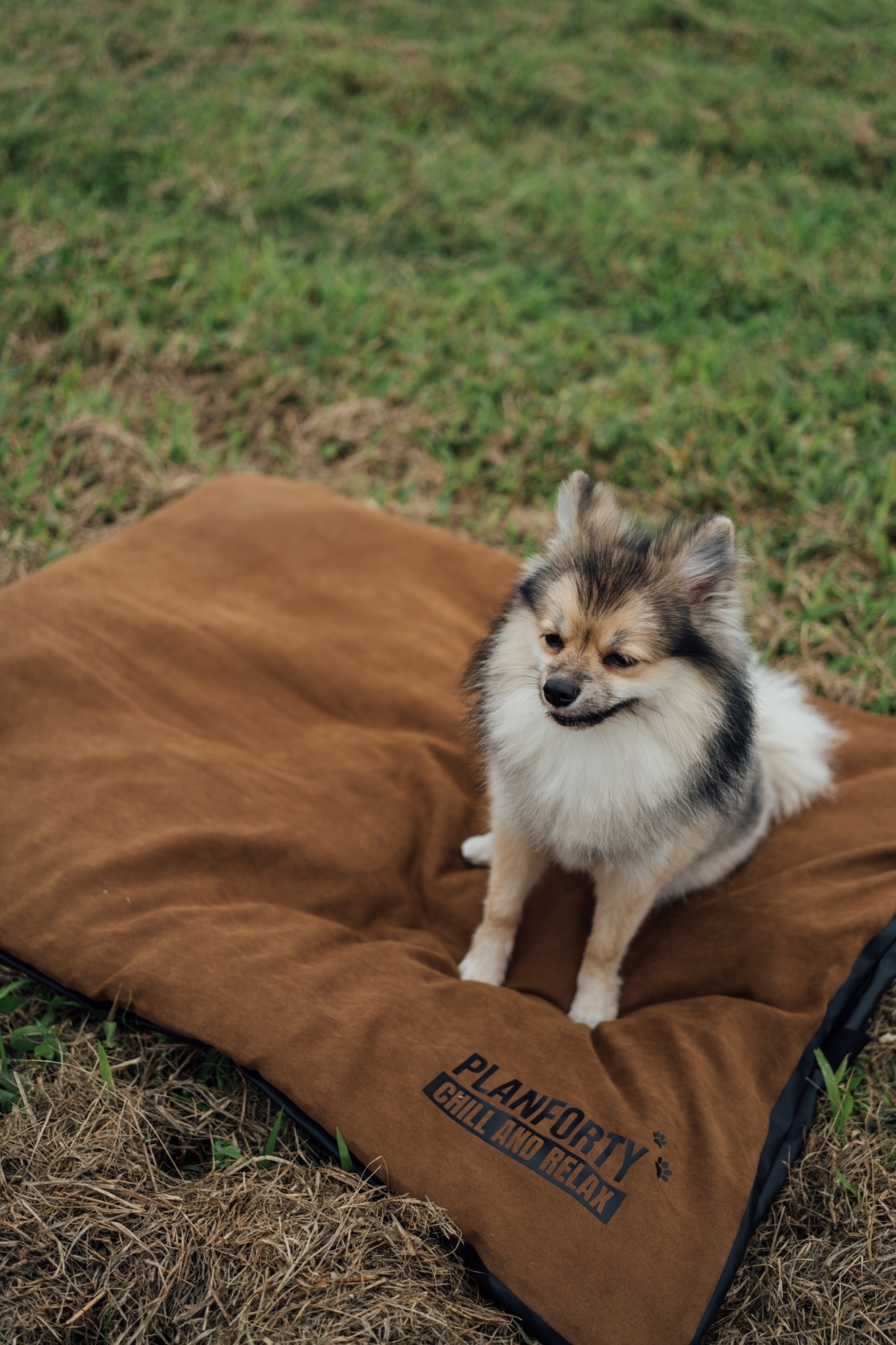 1CDFBEB3-7CA1-4A32-ACD3-86E98607099C