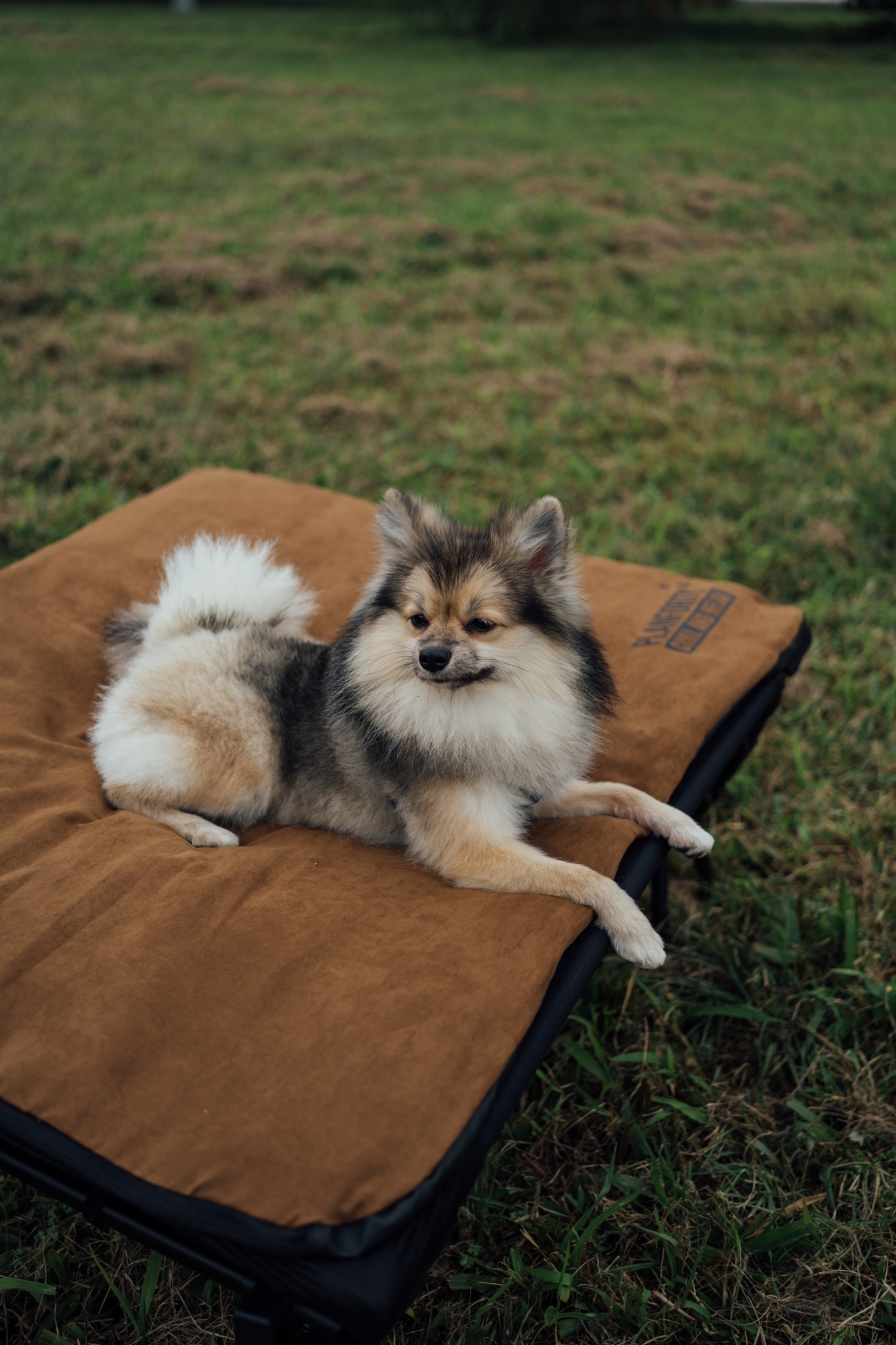 A3BBFF3A-E99C-4DCD-BBAB-00262BA2BF53