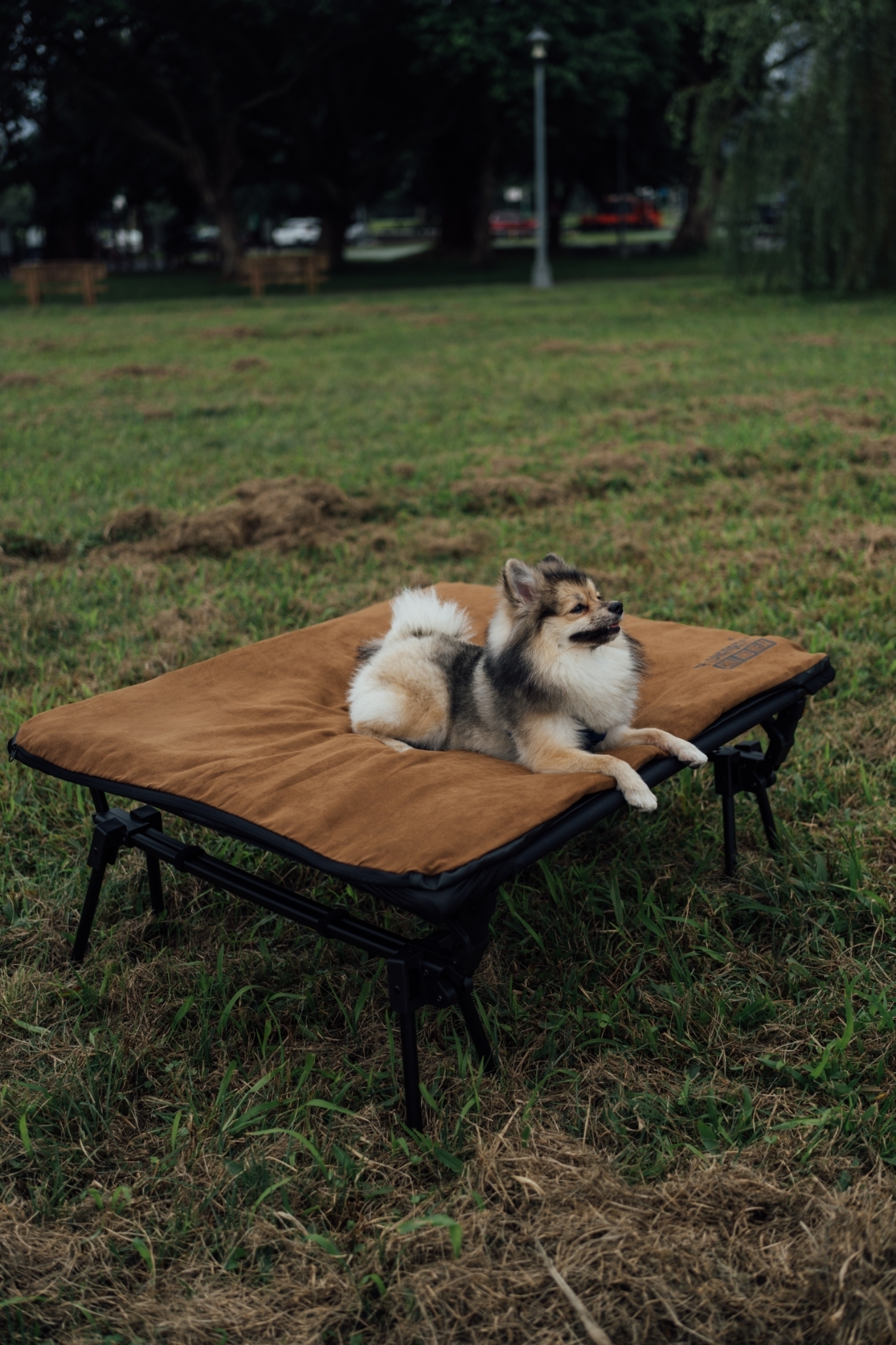 D49965EC-2A1A-413F-A379-8C6E8CA8E4E5