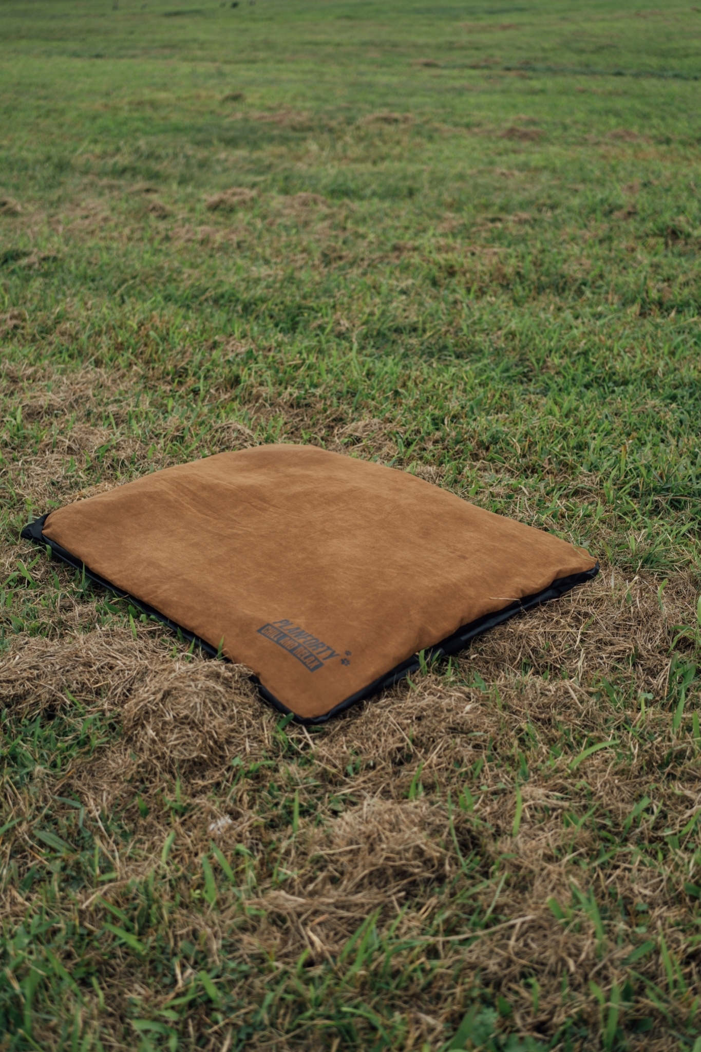 C3756593-0323-4A52-A501-DDE753AF4E95