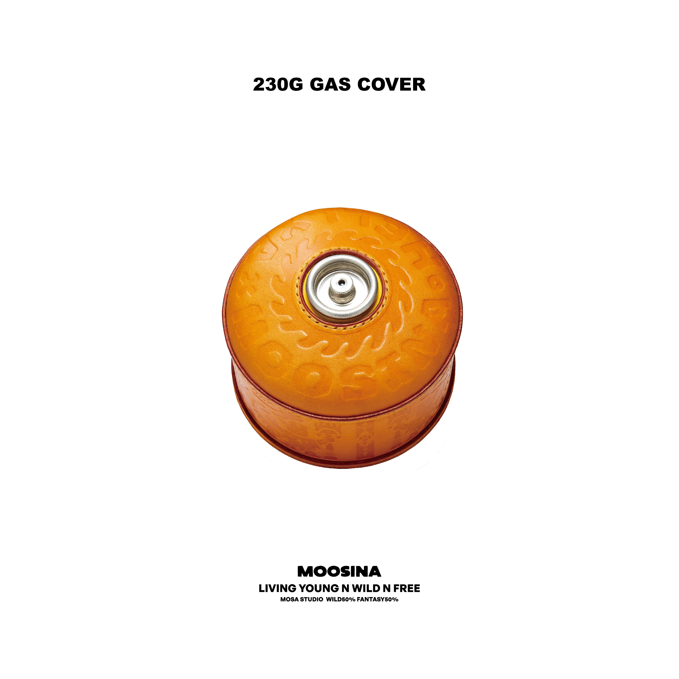 GAS COVER 4