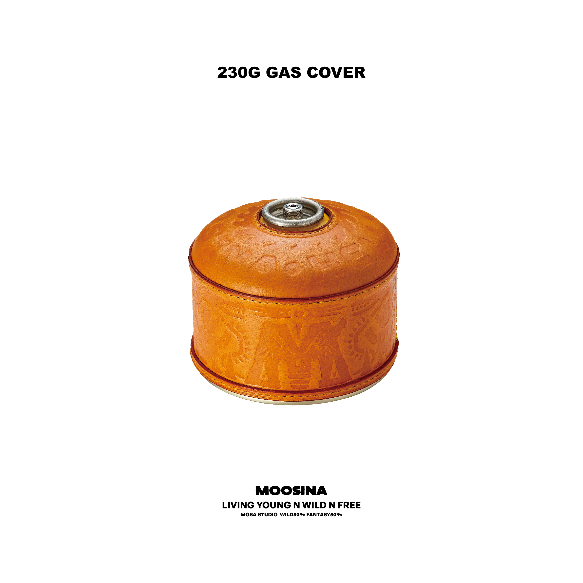 GAS COVER 1
