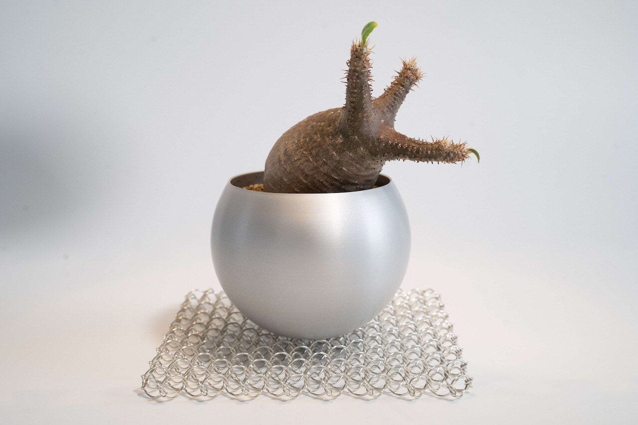 f09106a4746203f3d5d791ec58a51861