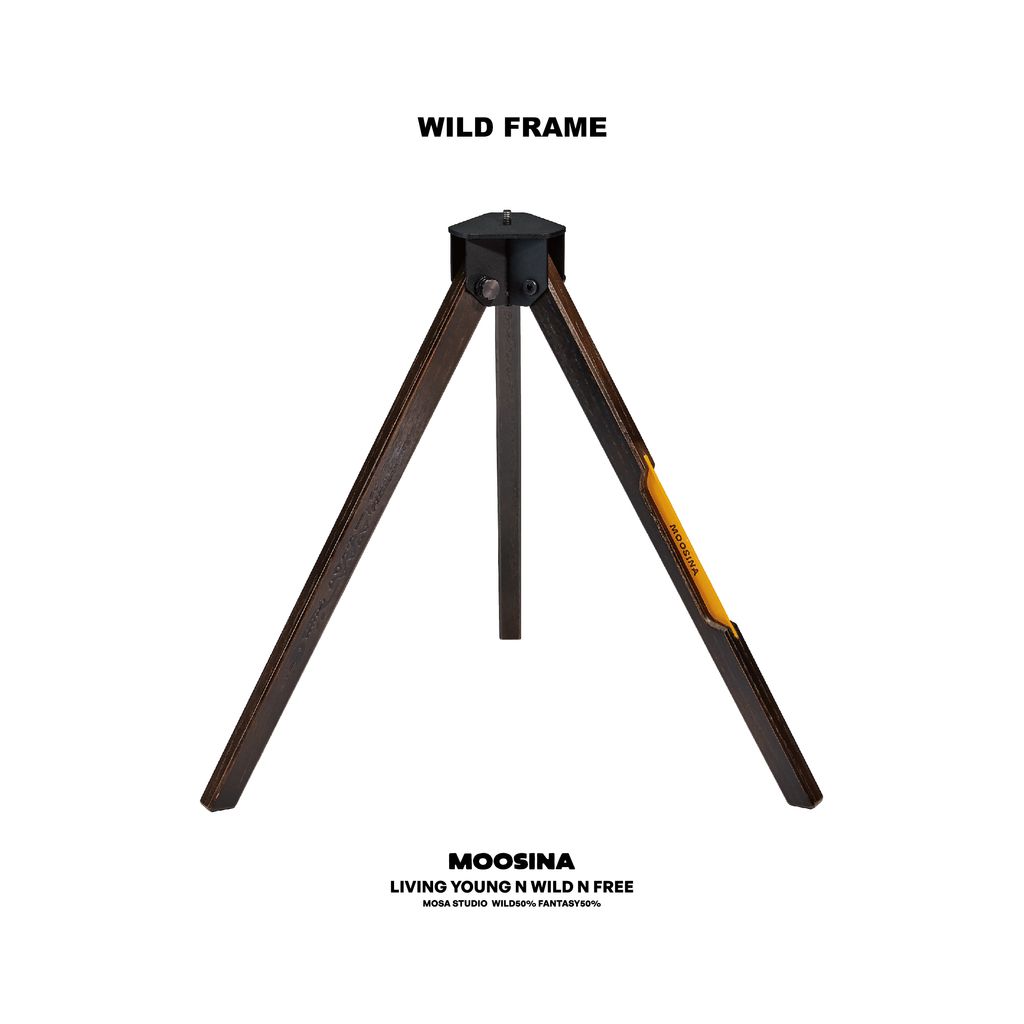 WILD FRAME DB