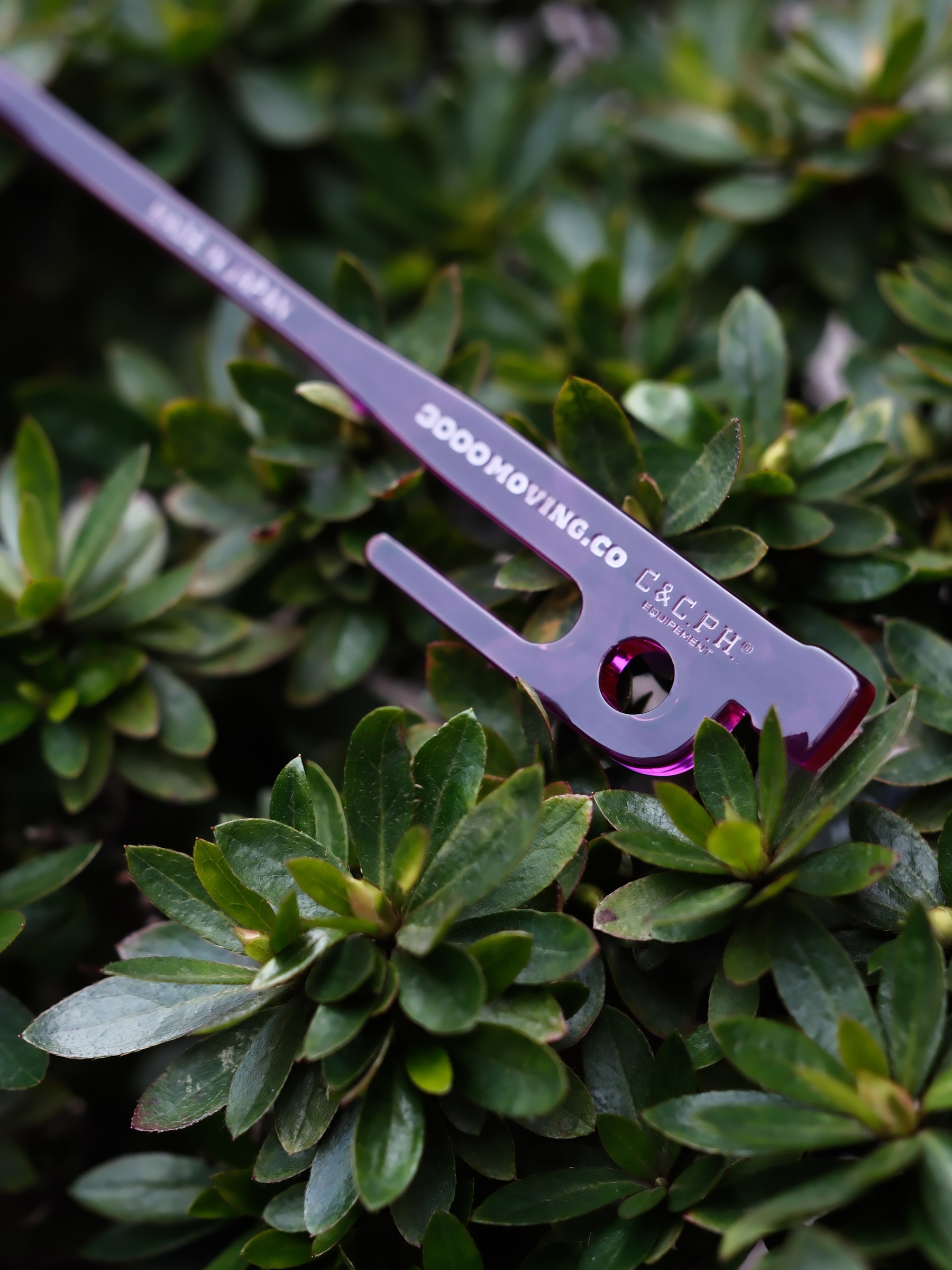 DSCF2280-1740725097152