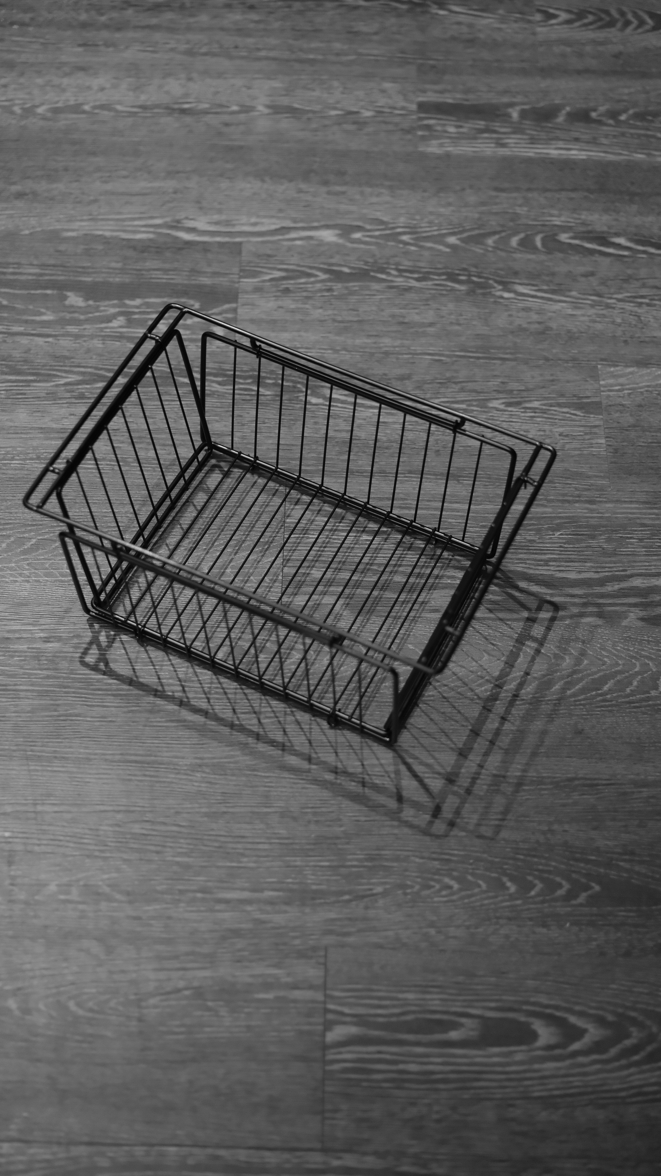 image_C0035AA0-D06D-44B3-B55D-88FB81AA3089_1743771718