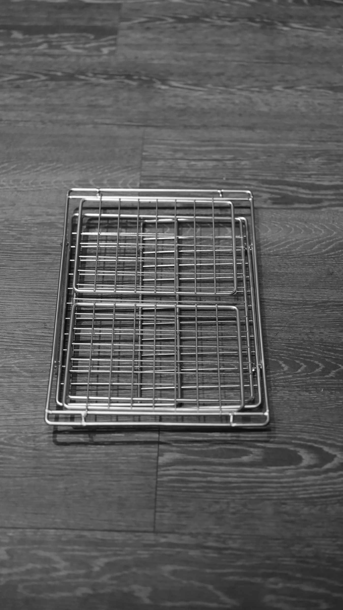 image_5D6FA194-00AF-459C-AB09-2CA42C6991B5_1743771718