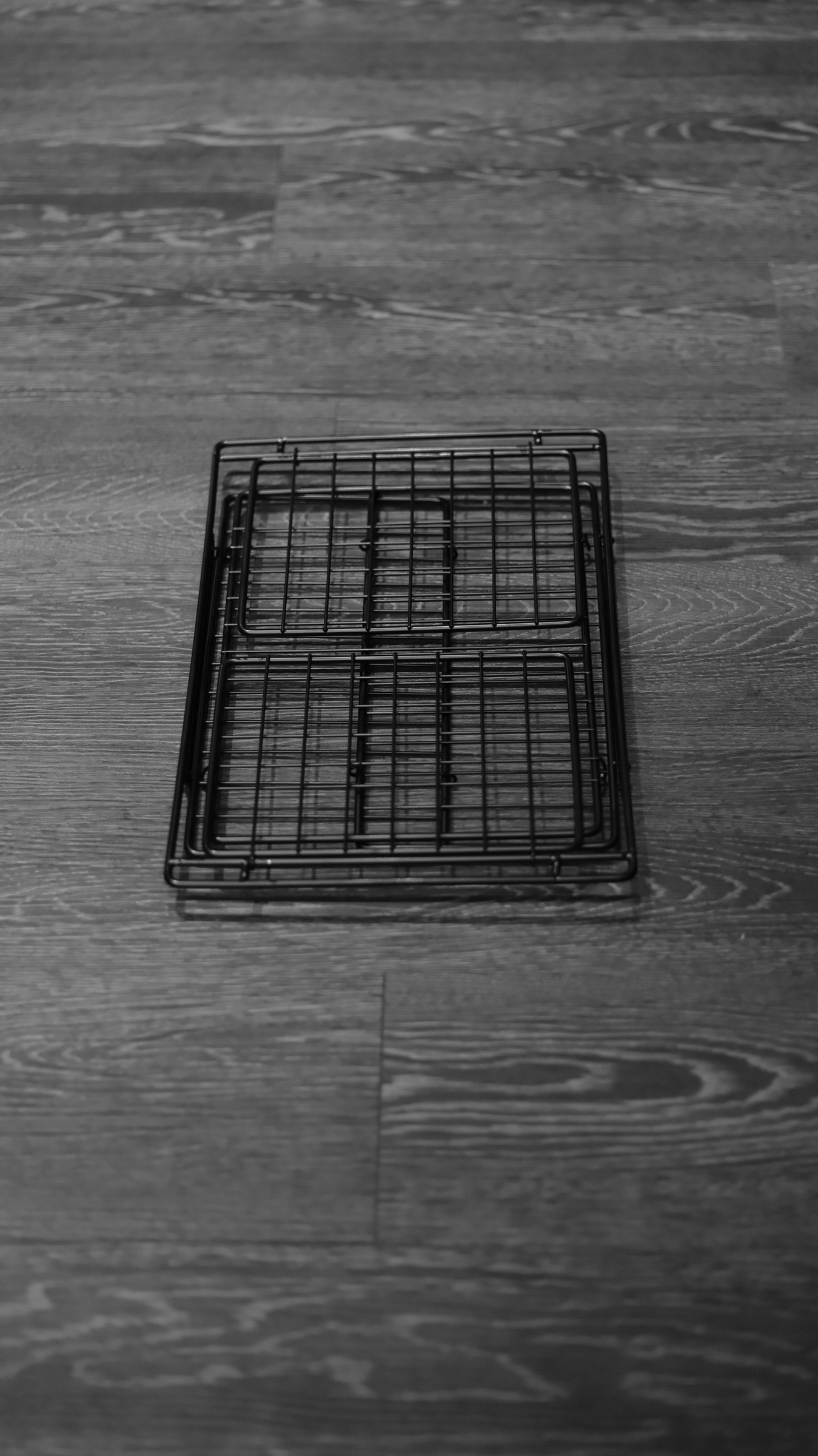 image_927ED9CD-93B5-4563-B2FB-AE5A2E91ECD8_1743771719