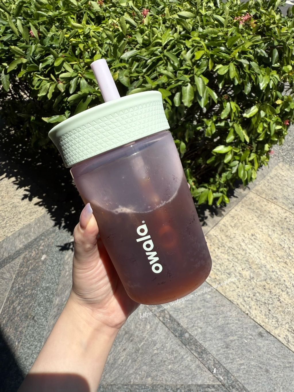 IMG_9272