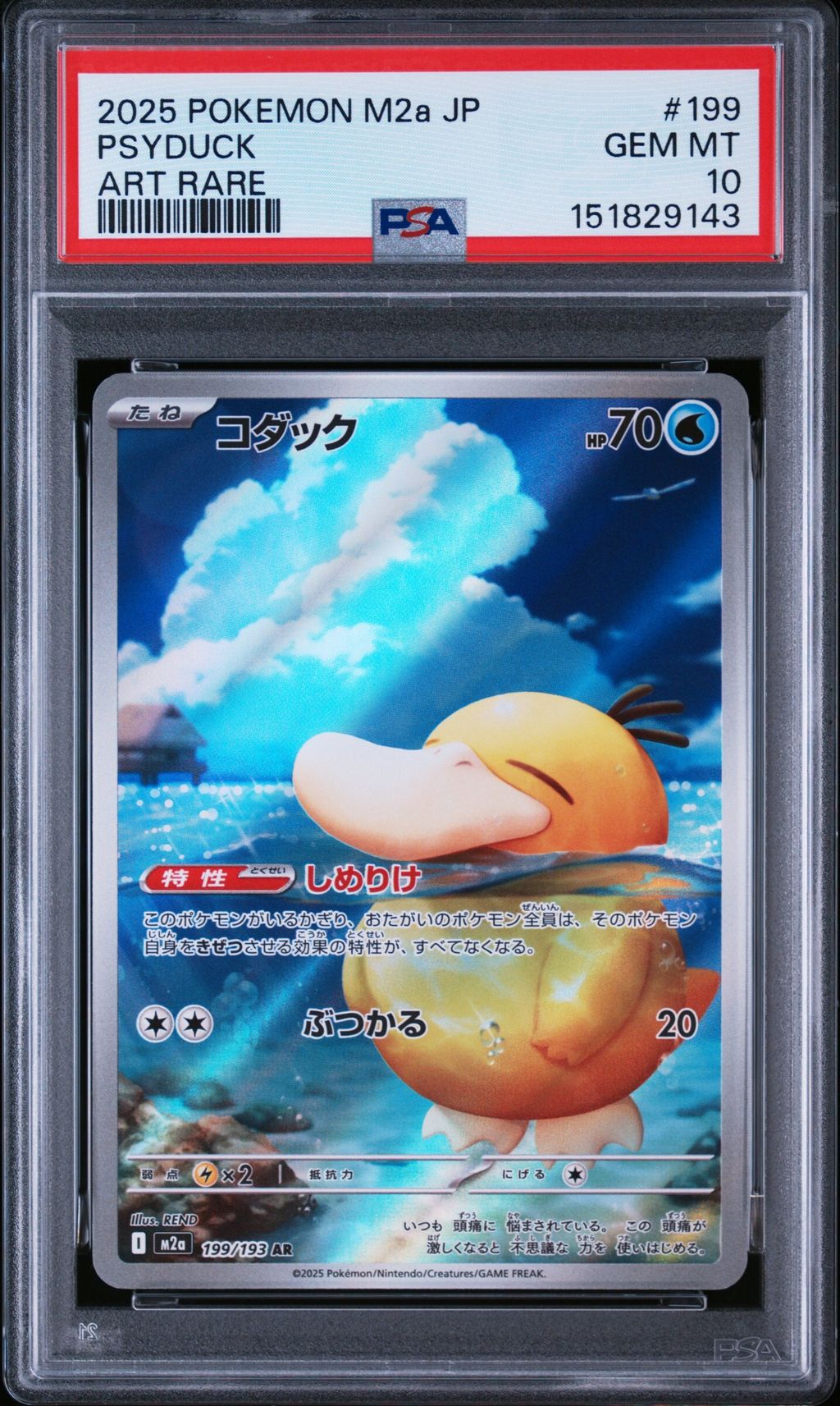 151829143-front