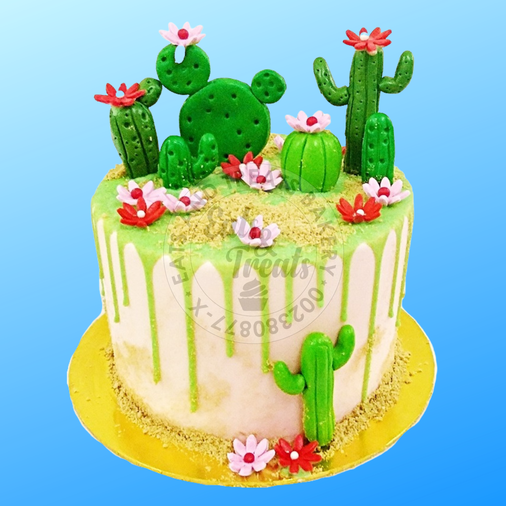 Cactus & Succelent