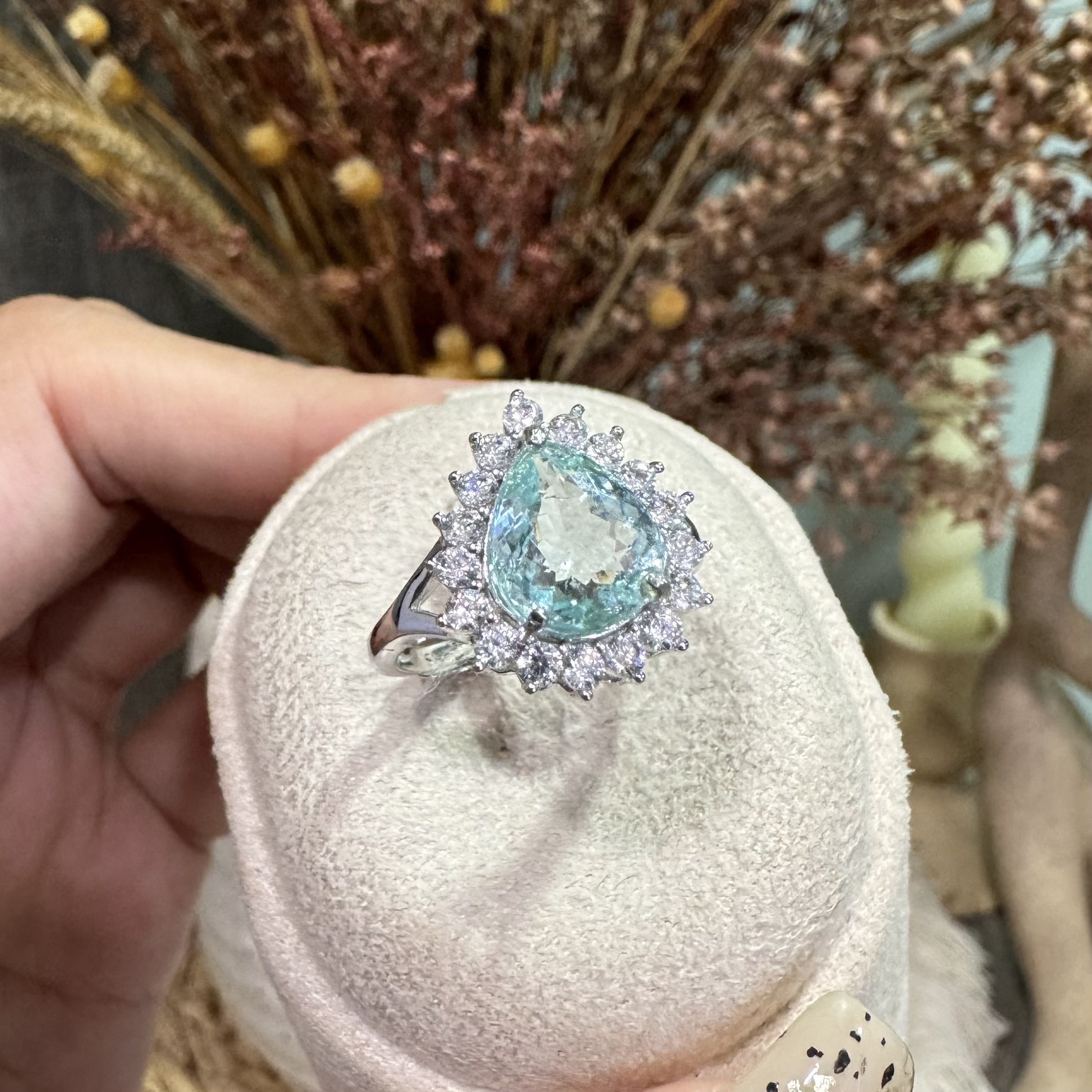 image_1CC6A37F-0872-4093-96EA-1B12AF327ADB_1763275322